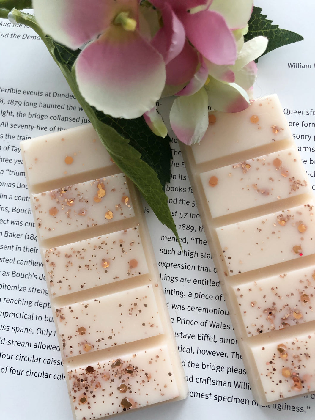 Library Soy Wax Melts